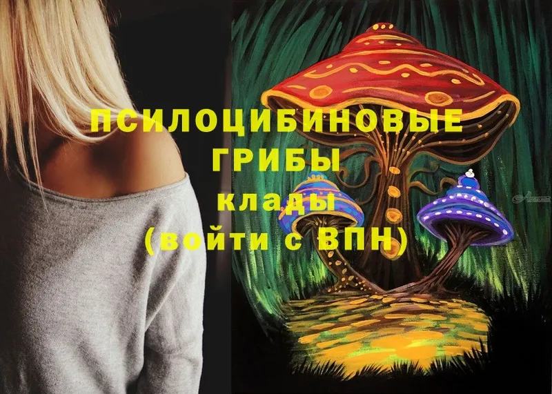 Псилоцибиновые грибы Psilocybine cubensis  Нестеров 